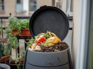 Faire son propre compost en appartement avec des astuces simples et peu coûteuses